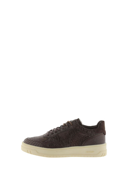 Victoria Sneakers#colore_marrone