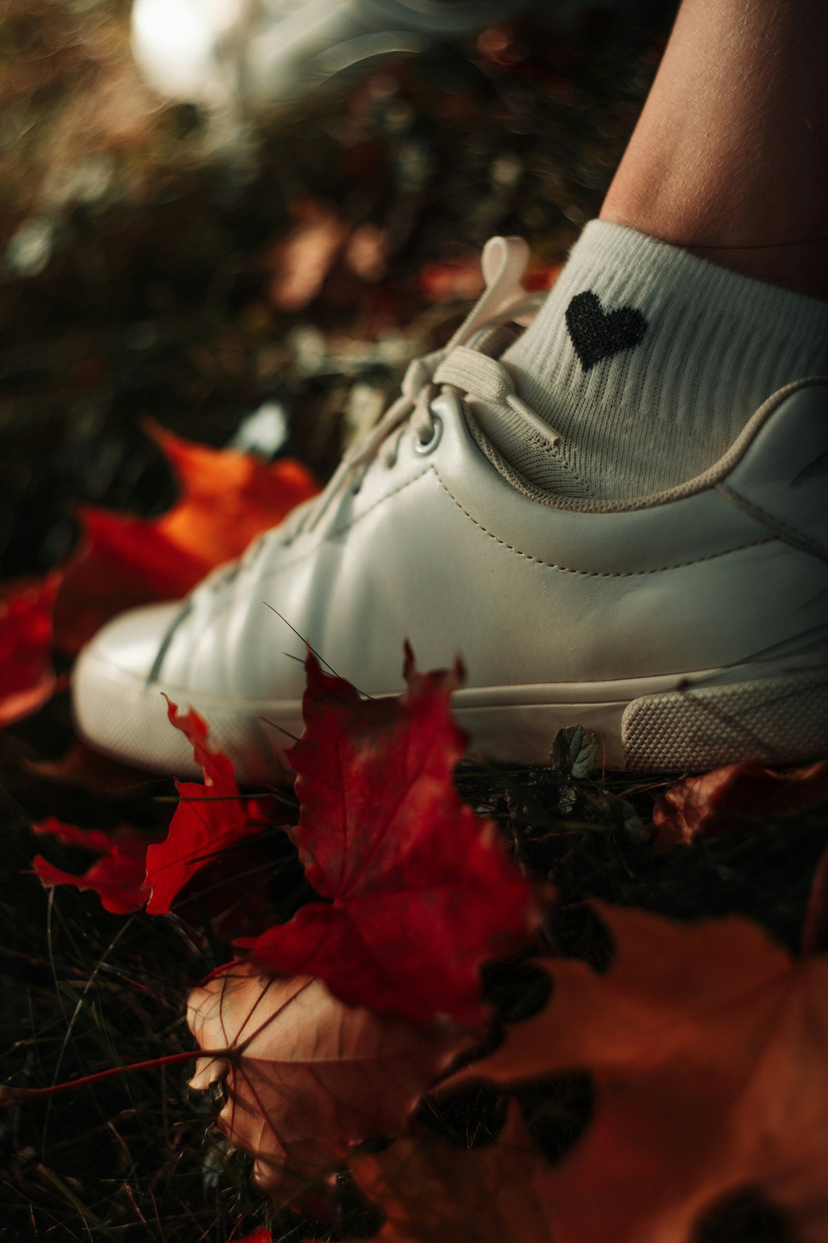 Sneakers